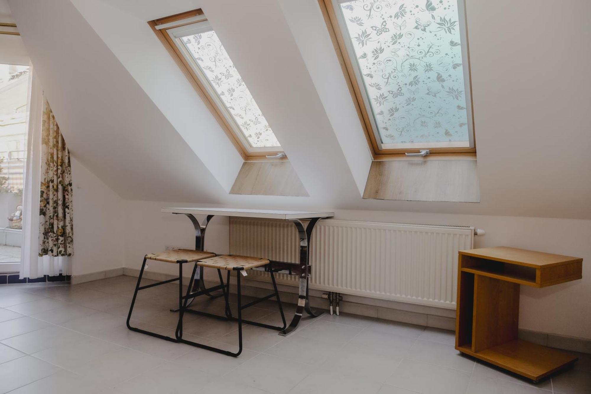 Apartment Terrace Near Volksoper And Centre